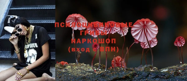 шишки Алексеевка
