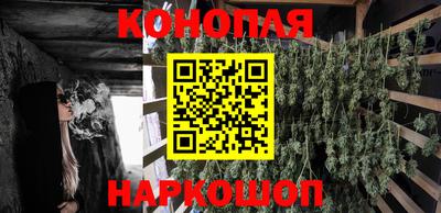 гидра Владикавказ