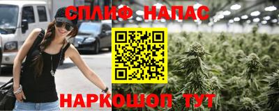 гидра Владикавказ