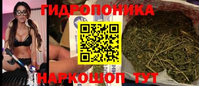 мдпв Владимир