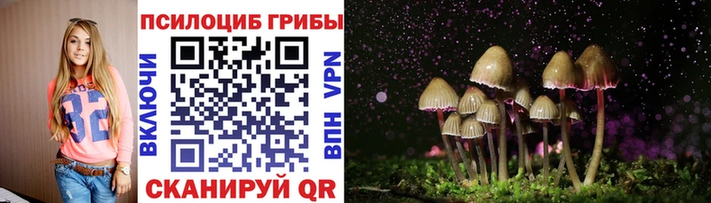 Псилоцибиновые грибы ЛСД Томск