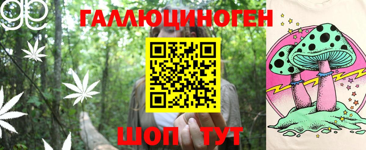 Галлюциногенные грибы прущие грибы Томск